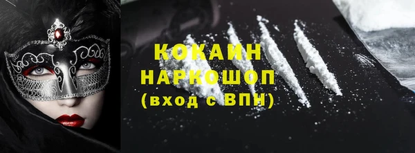 шишки Беломорск
