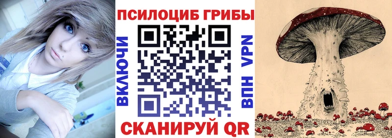 Галлюциногенные грибы GOLDEN TEACHER  Новотитаровская 